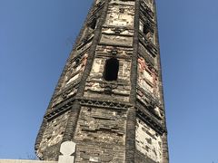 -上海佘山国家森林公园天马山园