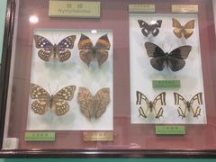 -上海昆虫博物馆