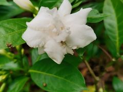 -福田红树林生态公园