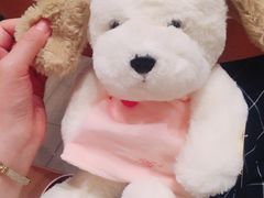 -PAWTOY爪e玩偶店(天兴罗斯福店)