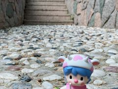 -八大关景区