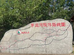 -茅兰沟国家森林公园