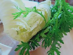 -盛元盛居传统炭火锅(绿园店)