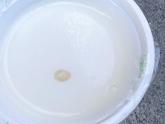 宫廷奶酪-奶酪魏(牛街总店)