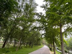 -大望京公园