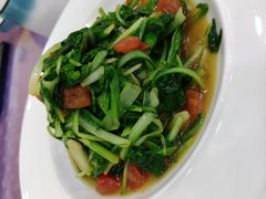 新疆番茄毛白菜-新疆巴州金丝特餐厅(大钟寺店)