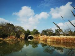 -梁鸿国家湿地公园