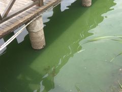 -长春公园(普阳街道)