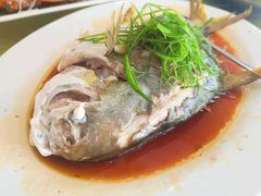 清蒸海鱼-双月饭店·20年老字号(新村店)