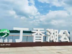 -丁香湖公园