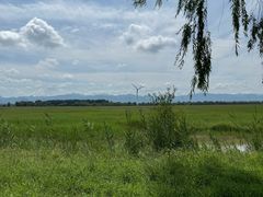 -野鸭湖国家湿地公园