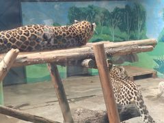 -昆明动物园