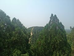 -茂陵博物馆