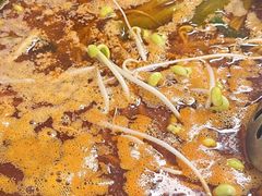 -贵府酸汤牛肉火锅·贵州老字号(飞山街店)
