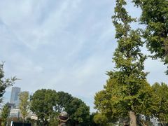 -金陵中学(河西分校)