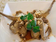 -百利鸽王(紫薇路店)