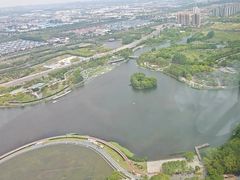 -嘉定凯悦·咖啡厅