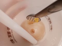 -卡旺卡(马鞍山金鹰店)