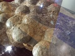 -中国西峡恐龙遗迹园