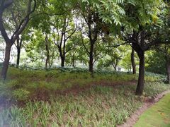 -金桥现代产业园区-停车场