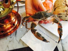 -北京王府井希尔顿酒店·万斯阁西餐厅