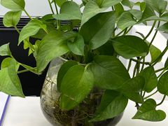-新航道雅思托福·留学·考研培训(人民广场校区)