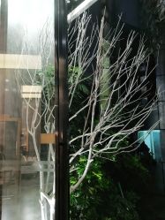 -星格造型·Hair Salon