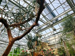 -国家植物园南园