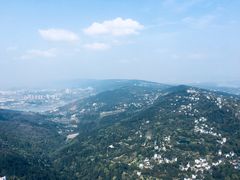 -大金鹰园