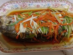 -天鹅到家·保姆月嫂育儿嫂(南开店)