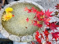 -鯛匠 HANANA