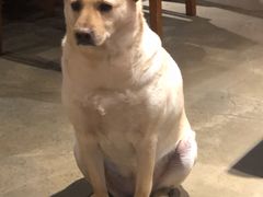 -Cactus墨西哥仙人掌餐厅