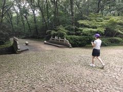 -灵谷景区