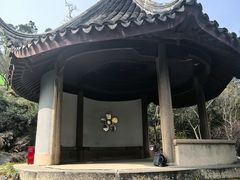 -香雪海
