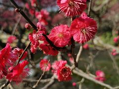 -东方绿舟景区