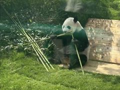 -无锡动物园·太湖欢乐园
