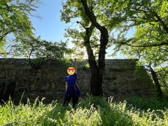 -阳台山自然风景区