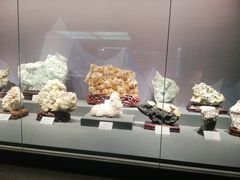 -湖南省地质博物馆