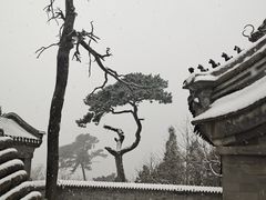 -妙峰山风景名胜区