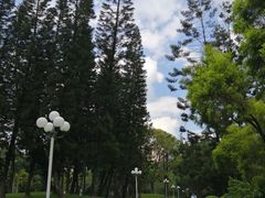 -人民公园(罗湖区)