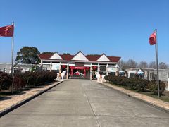 -上海都市菜园