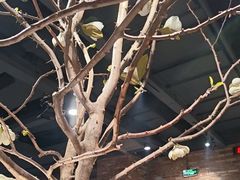 -韩盛·盛江山自助料理(于洪新玛特店)