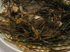 -老吉士酒家(天平路店)