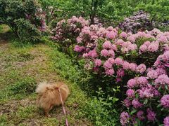-名花谷生态庄园