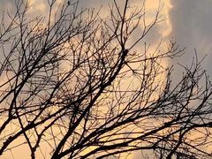 -东南悬空寺方广岩