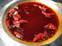 -大龙燚火锅(春熙店)
