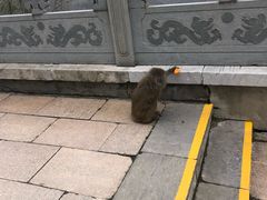 -句容茅山景区