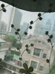 -苗医生草本科技祛痘