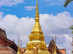 -西双版纳傣族园