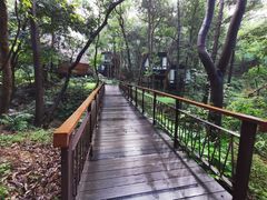 -杭州开元森泊度假乐园